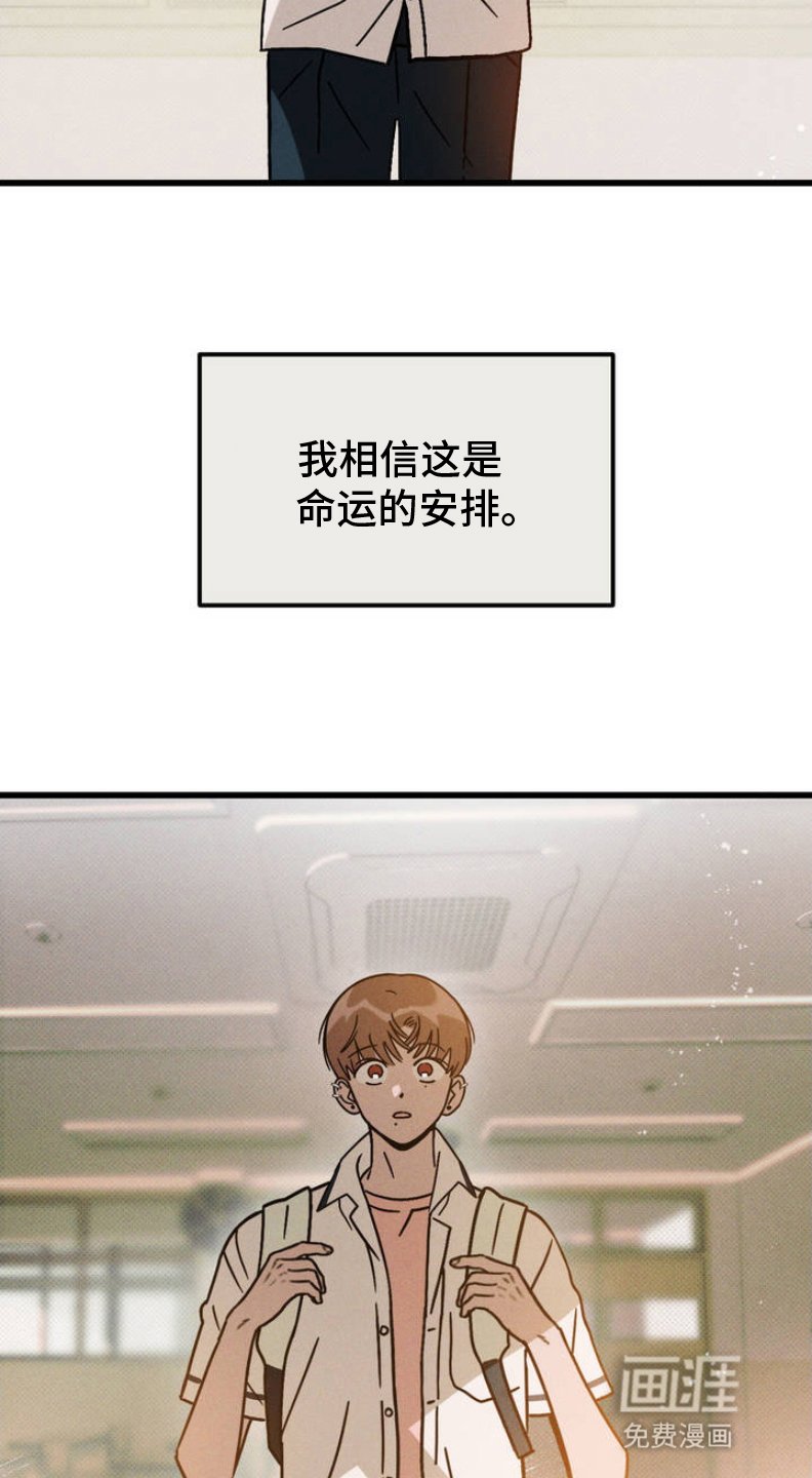 第2章：命运的安排