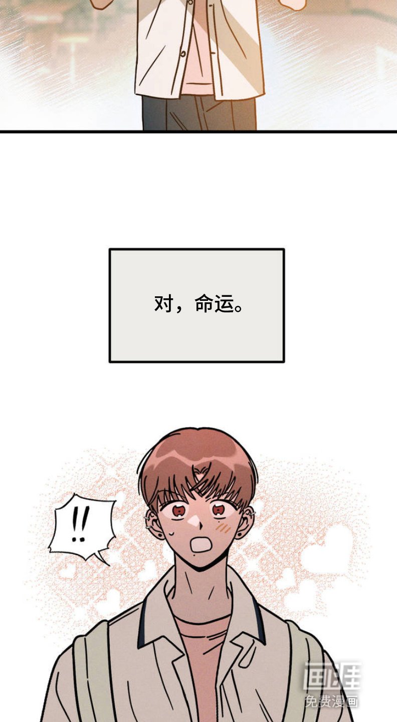 第2章：命运的安排