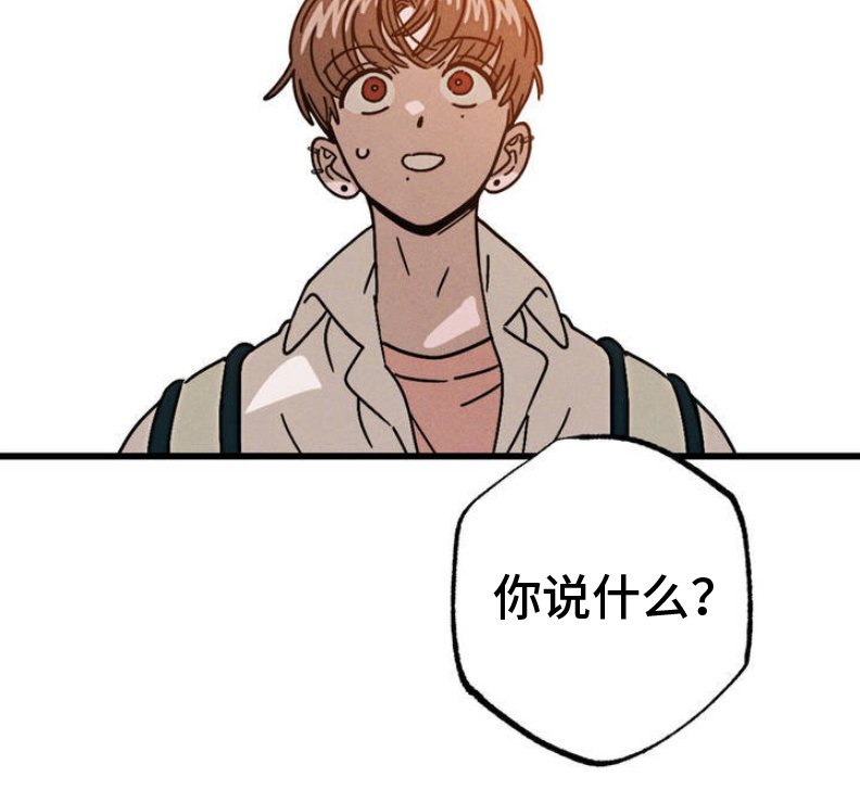 第2章：命运的安排