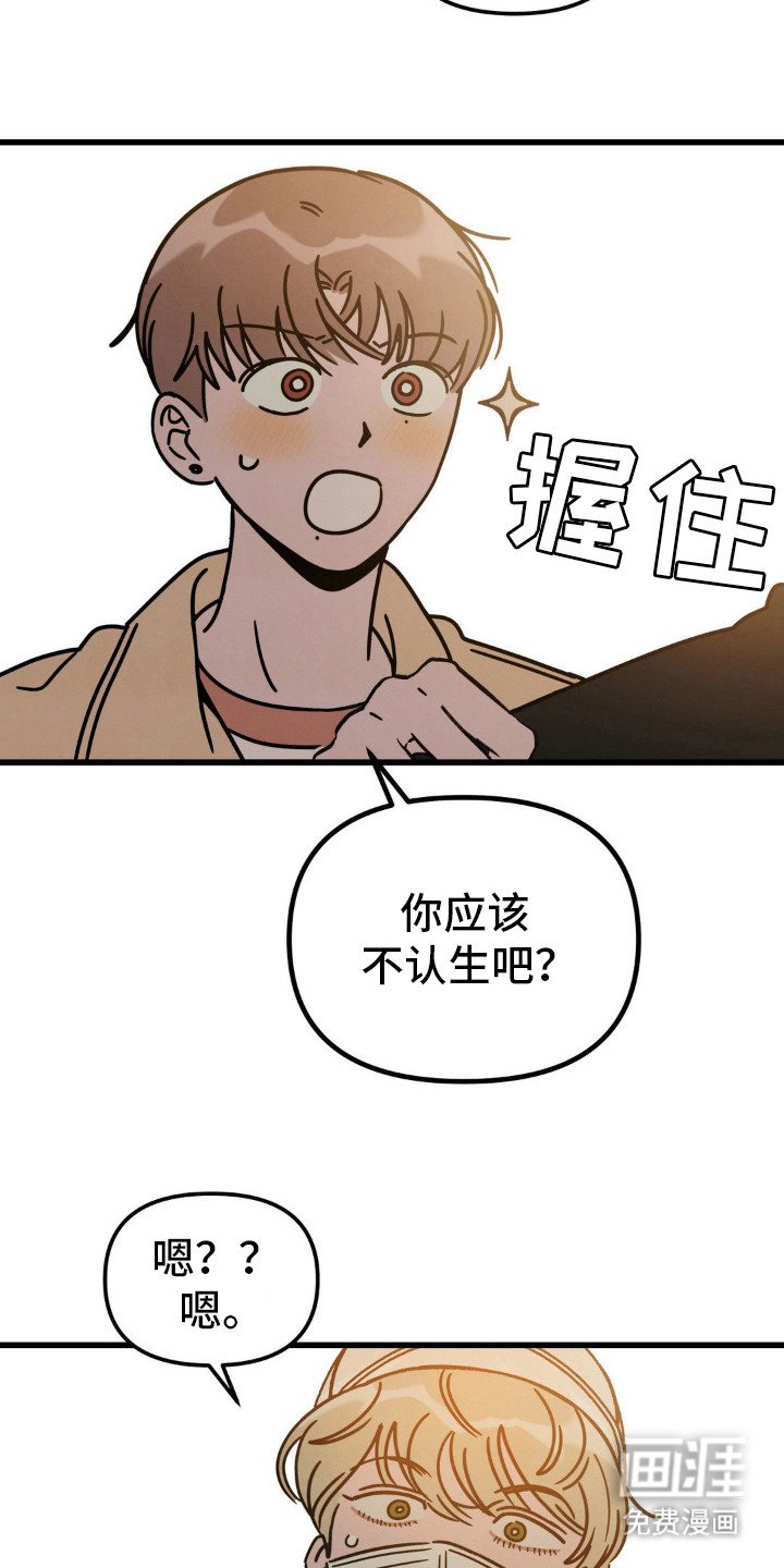 第26章：普通朋友