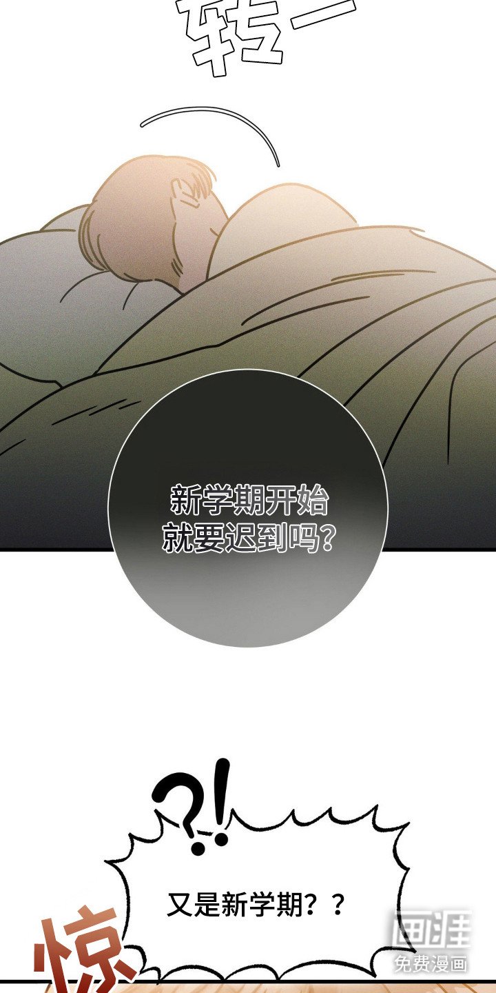 第42章：我送你