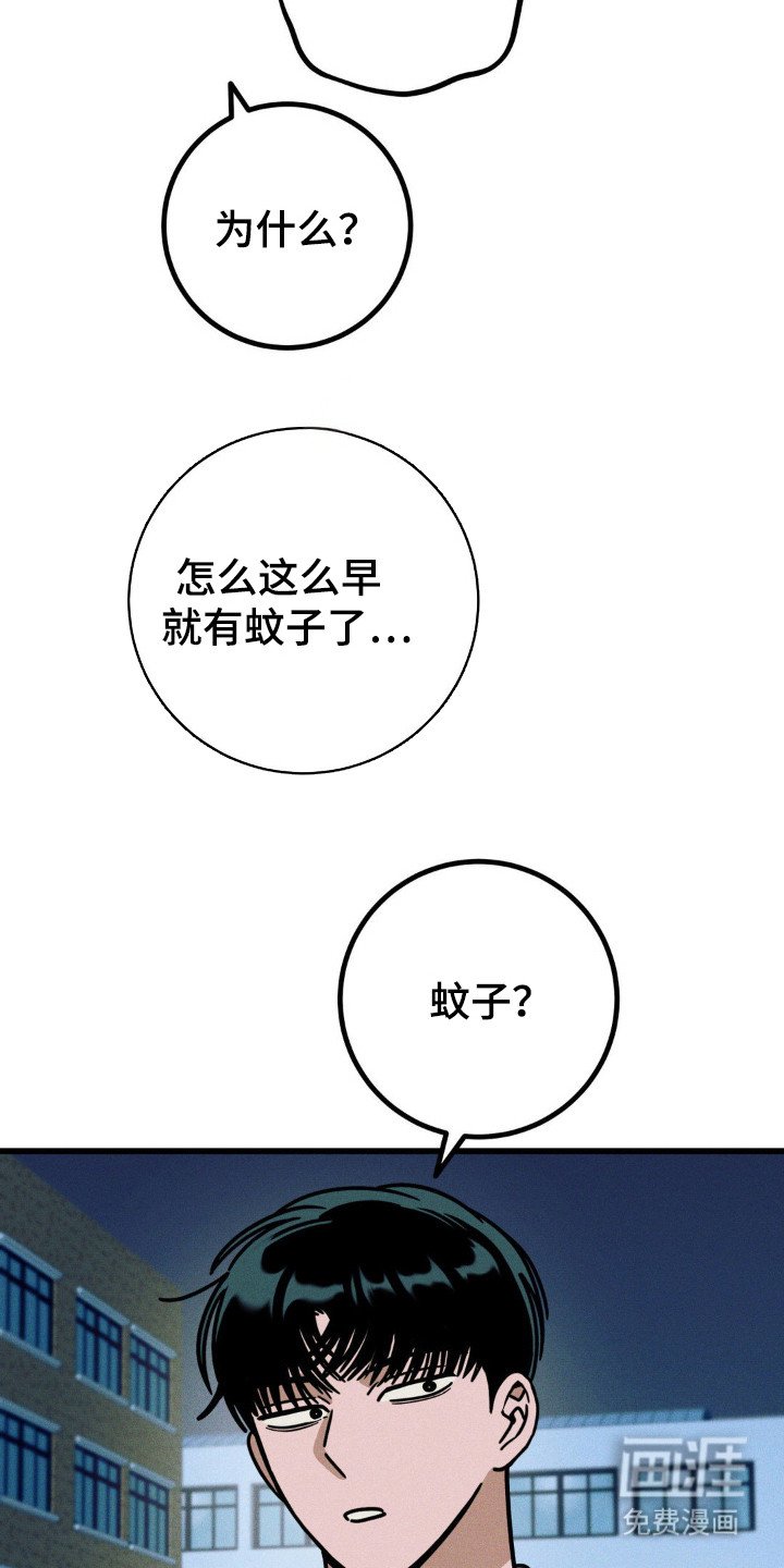 第45章：心动了吗