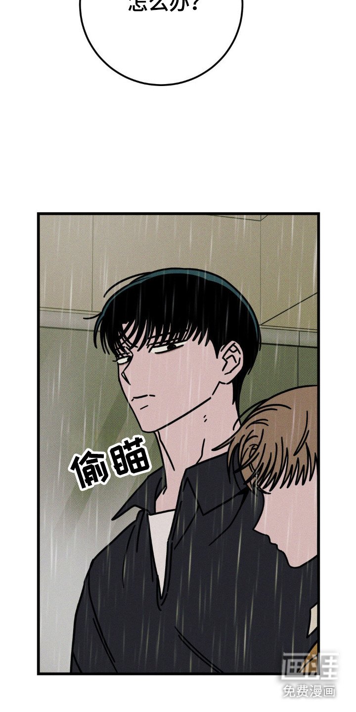 第55章：【第二季】热门留言