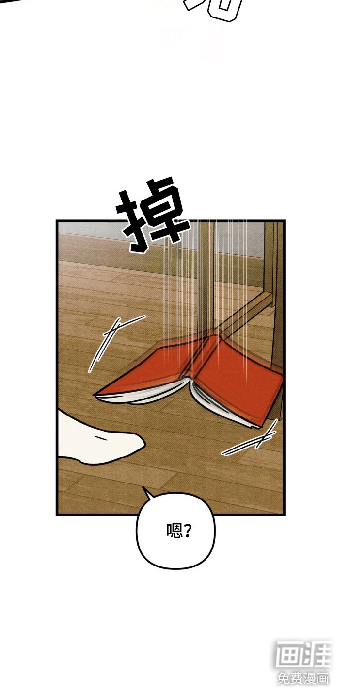 第58章：【第二季】感情升温