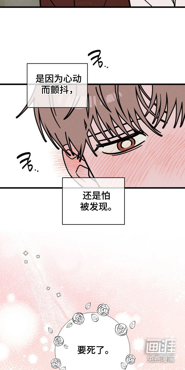 第90章：【第三季】秘密恋爱