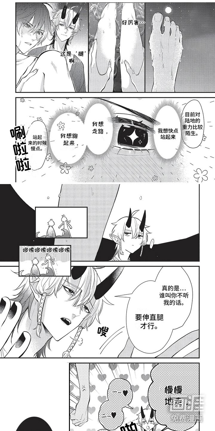 第17章：双腿