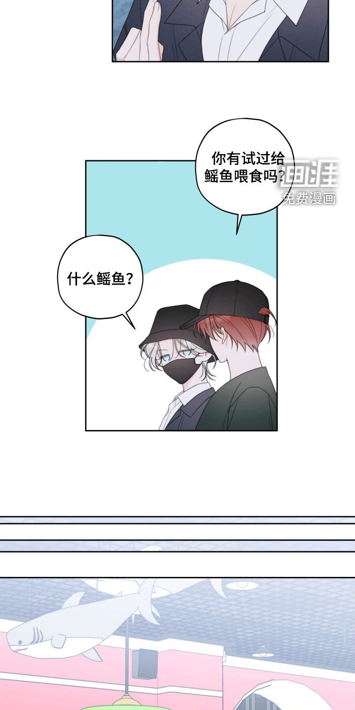 第29章：喂鱼