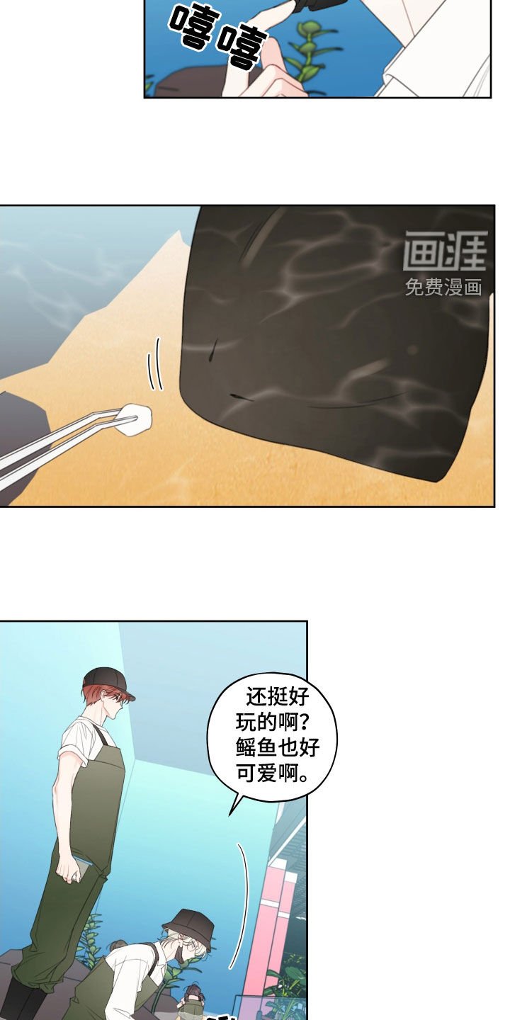 第29章：喂鱼