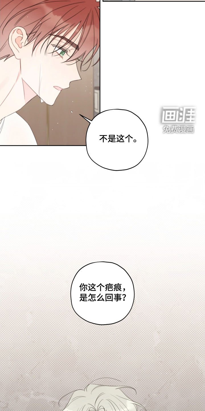 第31章：疤痕