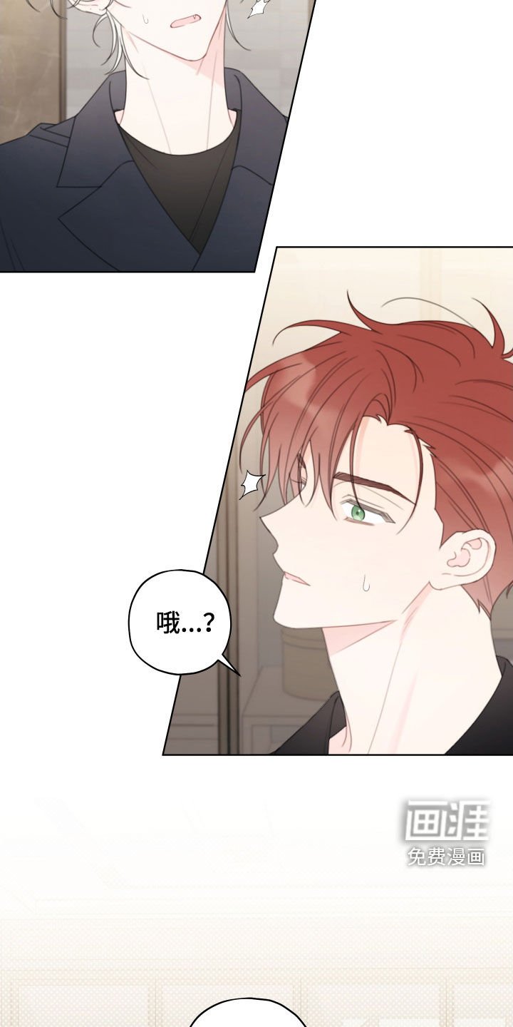 第35章：模特