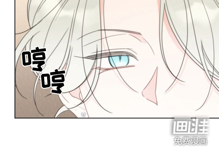 第37章：拍摄