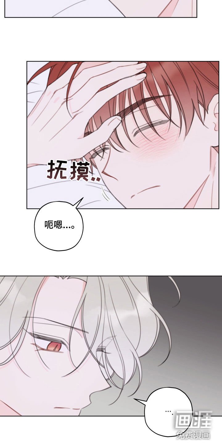 第42章：爱好