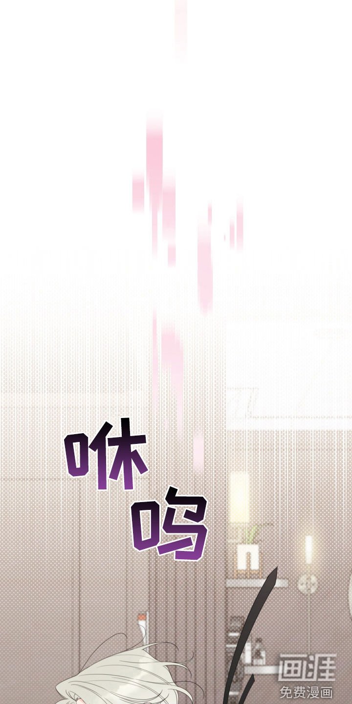 第42章：爱好