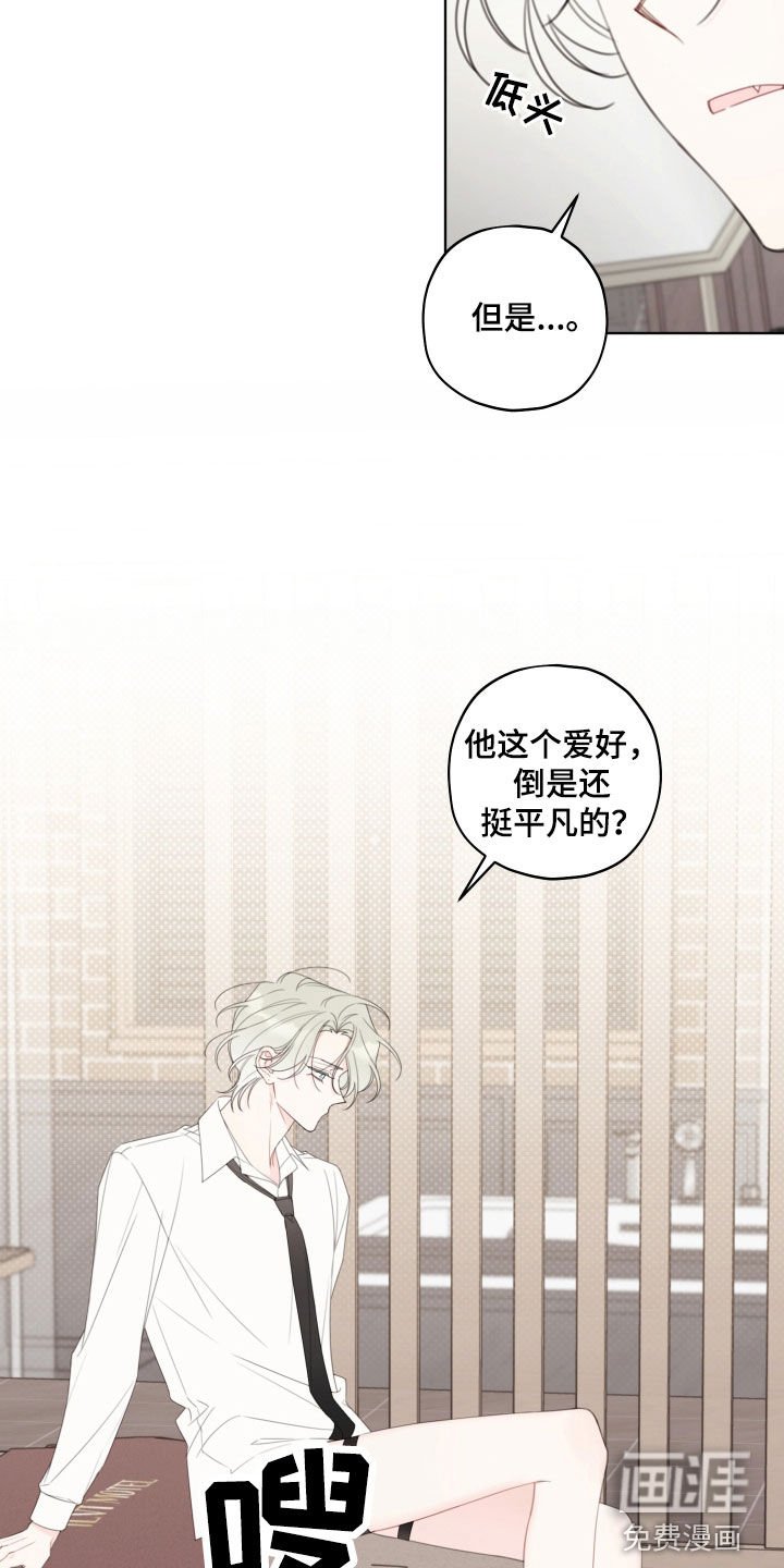 第42章：爱好