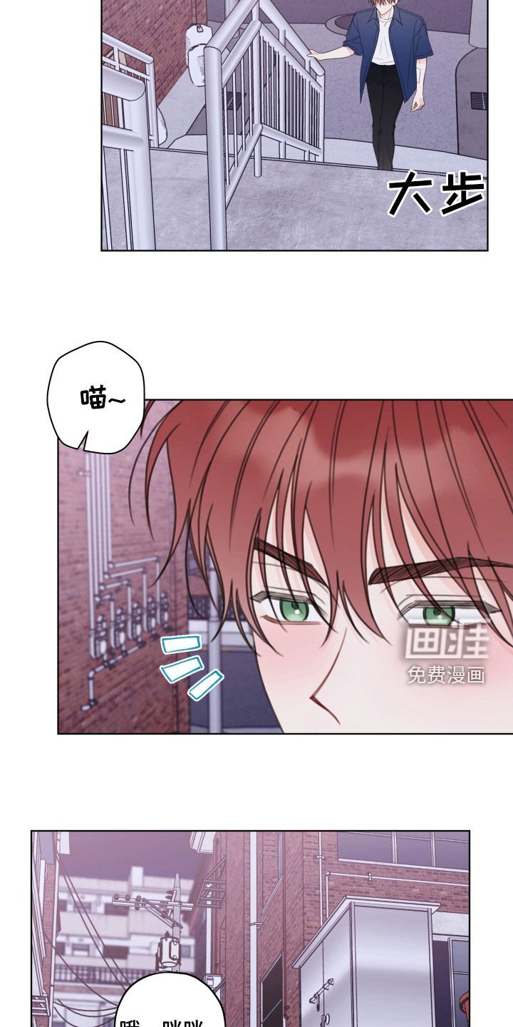 第48章：劝告