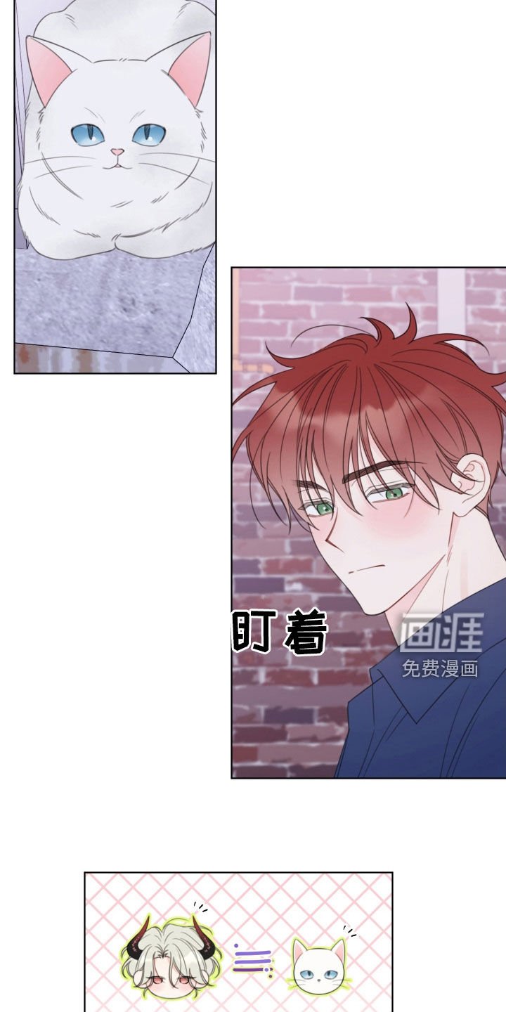 第48章：劝告