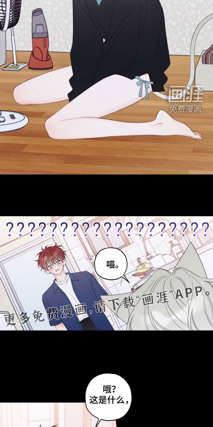 第49章：又做梦