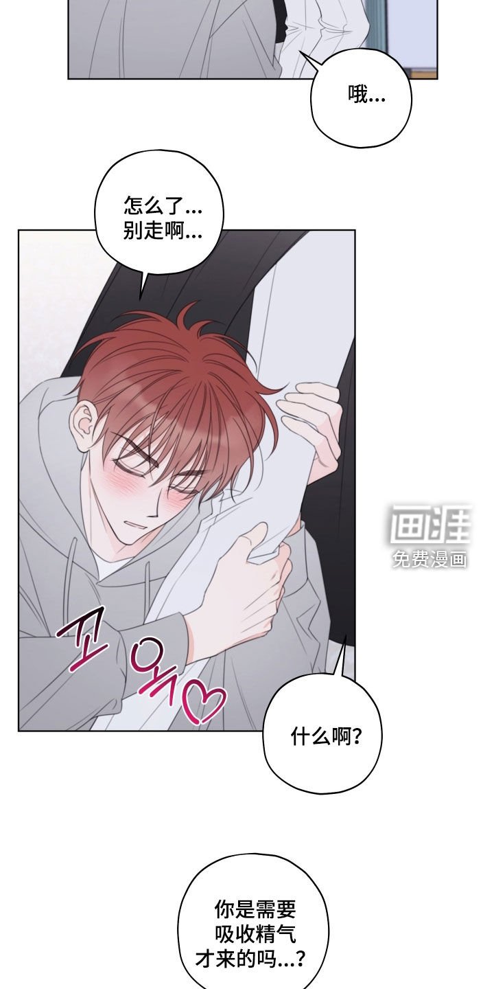 第53章：【第二季】睡着了