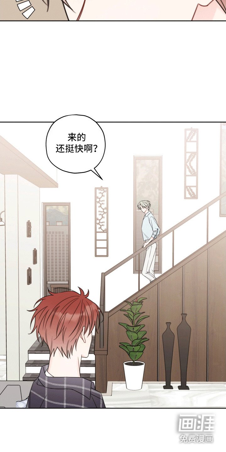 第6章：再次见面