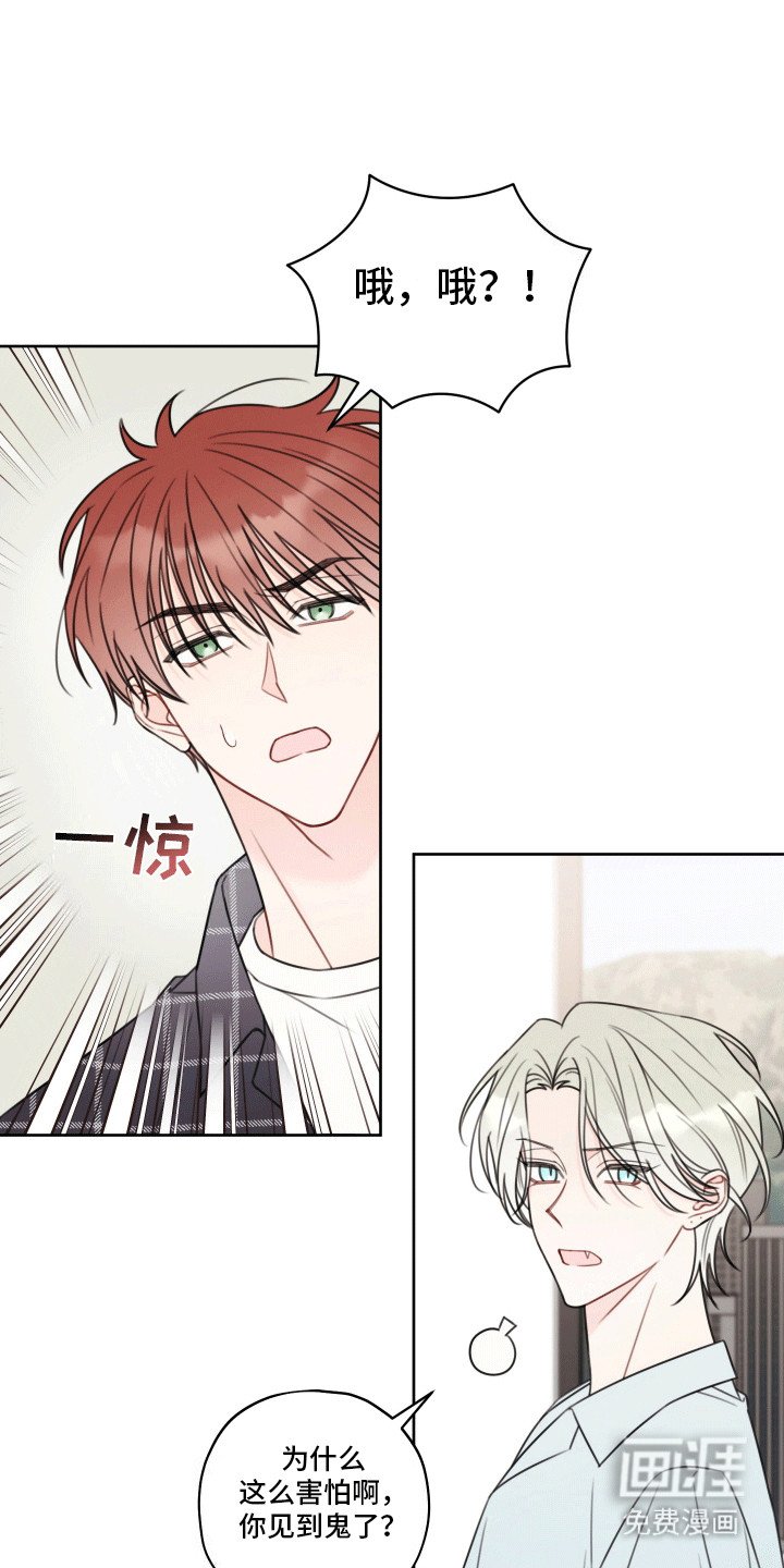 第6章：再次见面