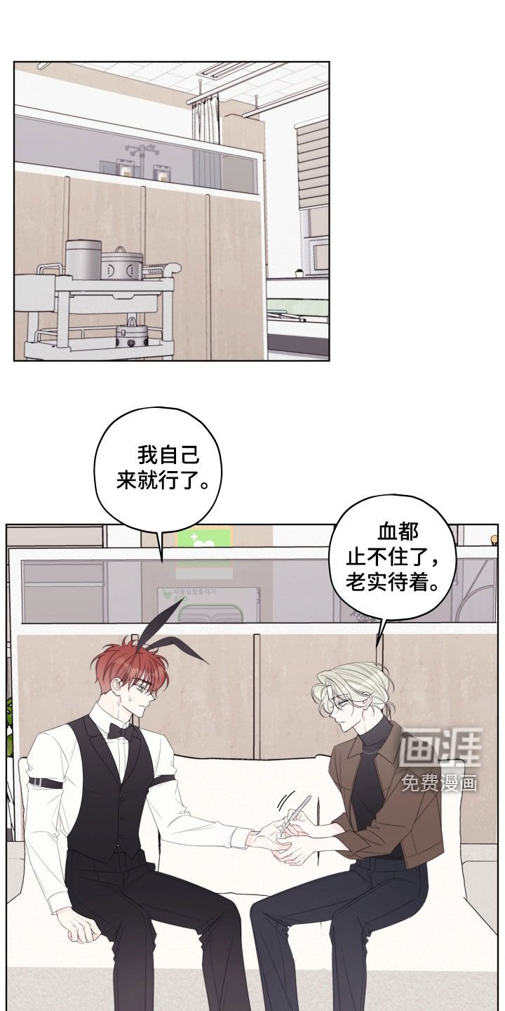 第63章：【第二季】校庆