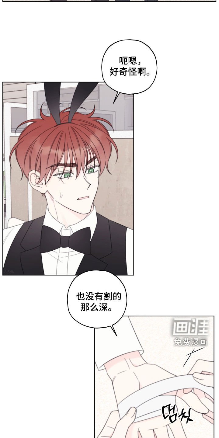 第63章：【第二季】校庆