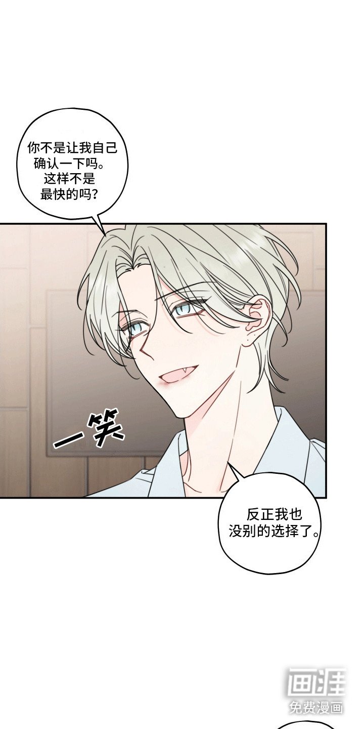 第8章：伴侣