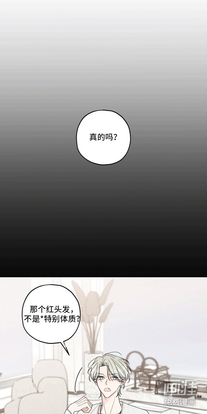 第8章：伴侣