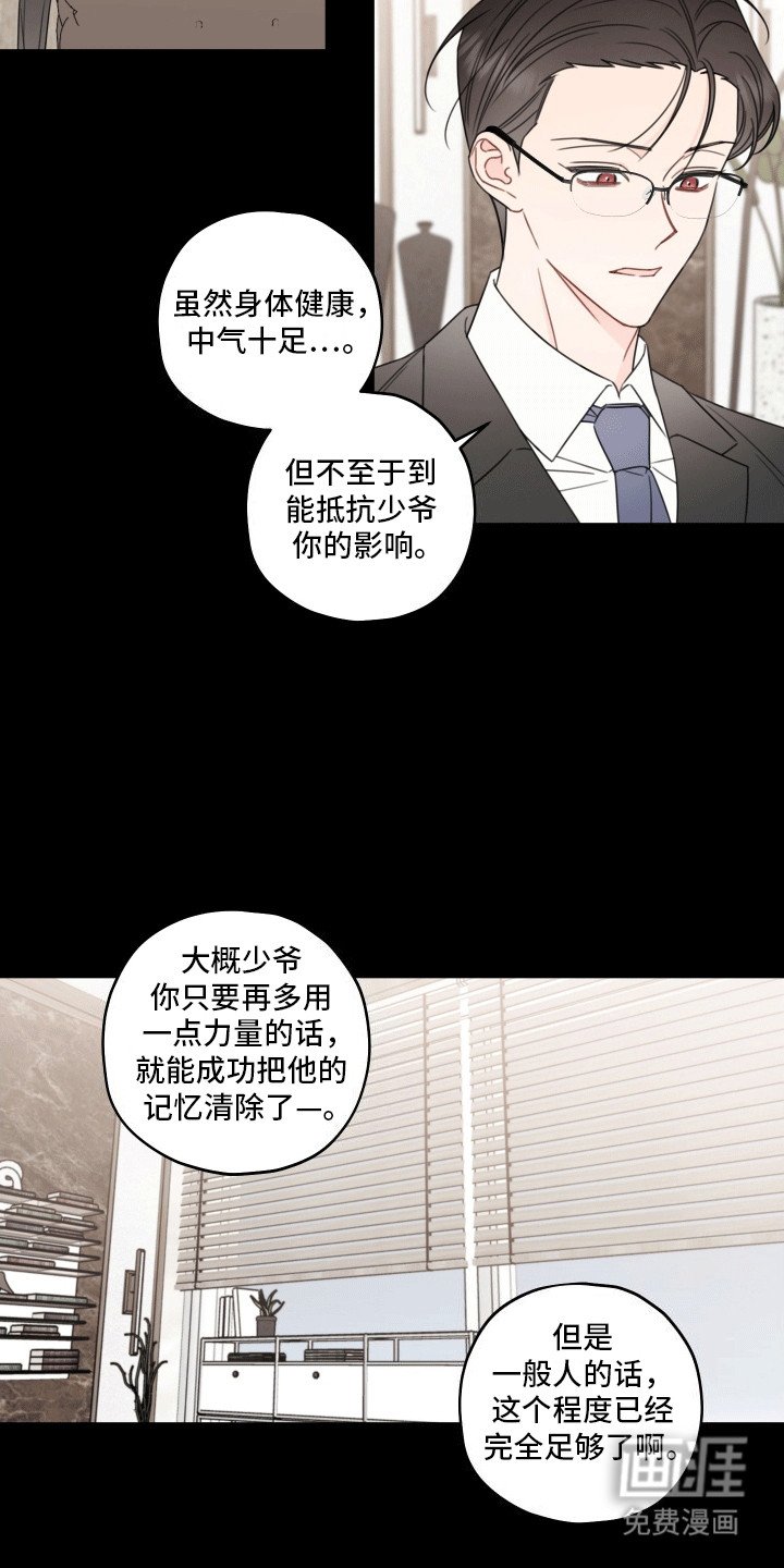 第8章：伴侣
