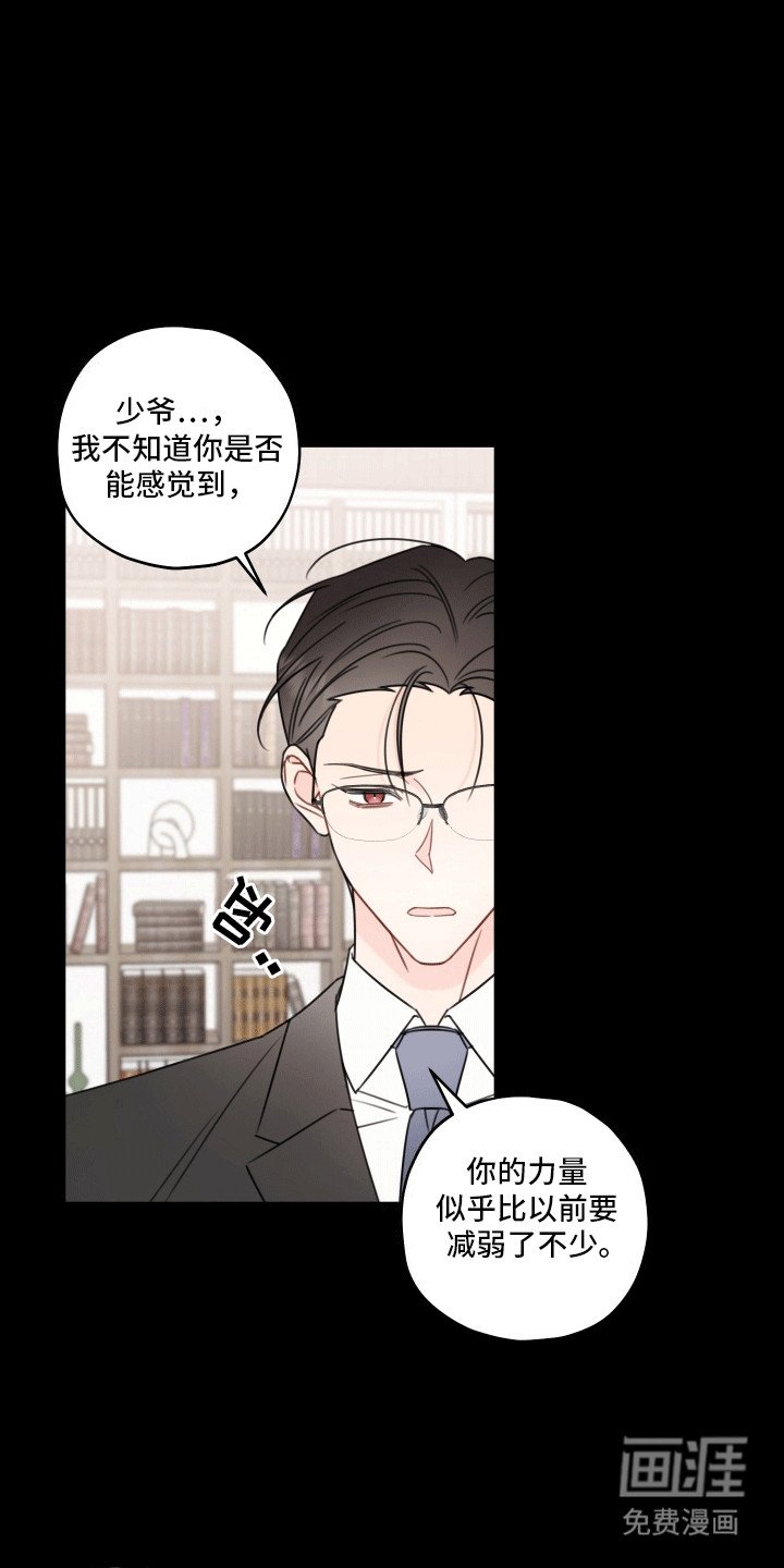 第8章：伴侣