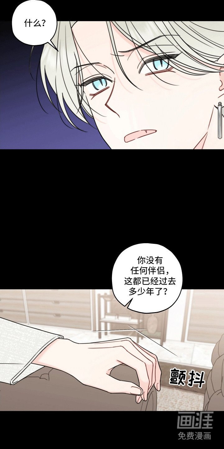 第8章：伴侣
