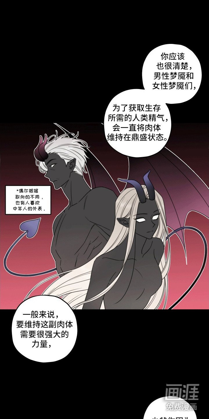 第8章：伴侣