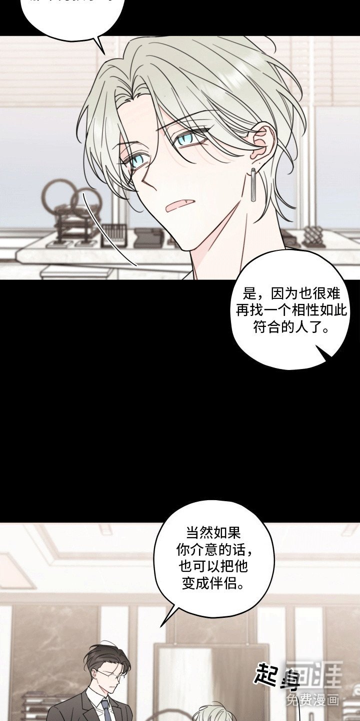 第8章：伴侣