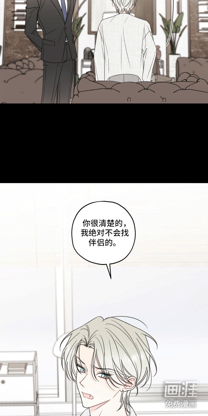 第8章：伴侣