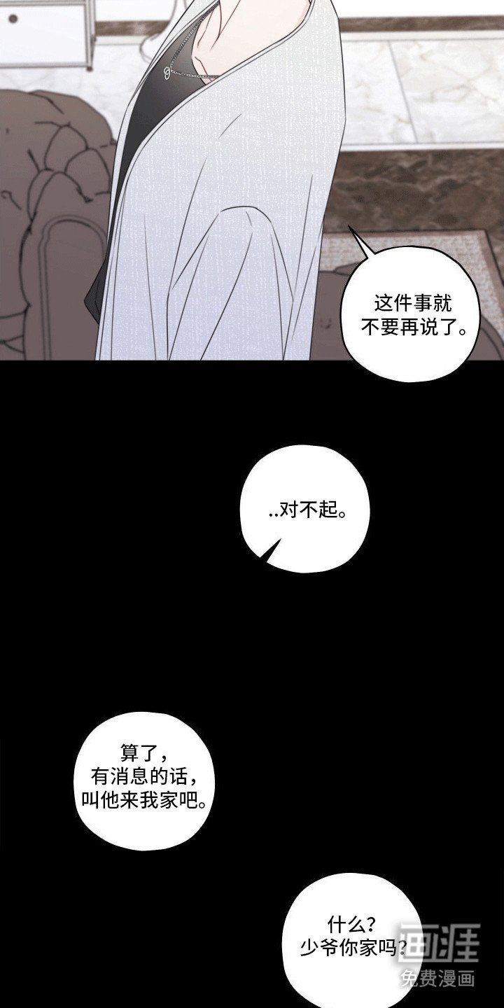 第8章：伴侣