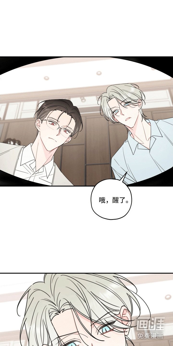 第8章：伴侣
