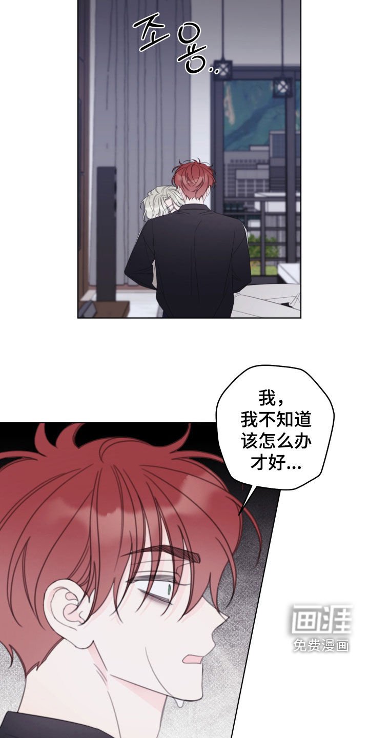 第81章：【第二季】怎么办