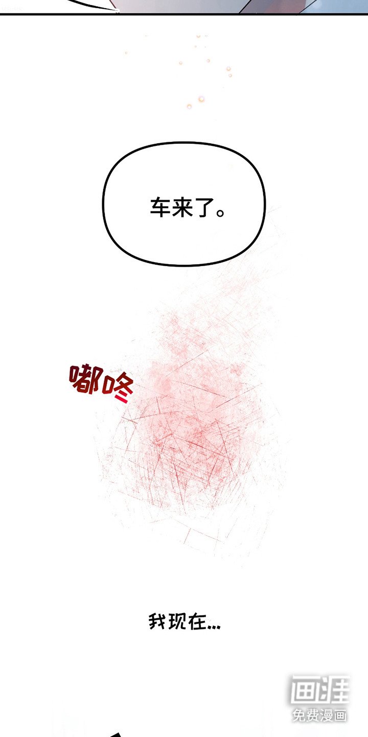 第10章：理想型