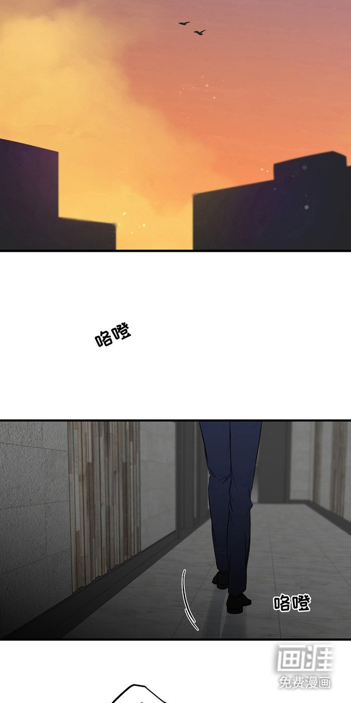 第13章：疯子