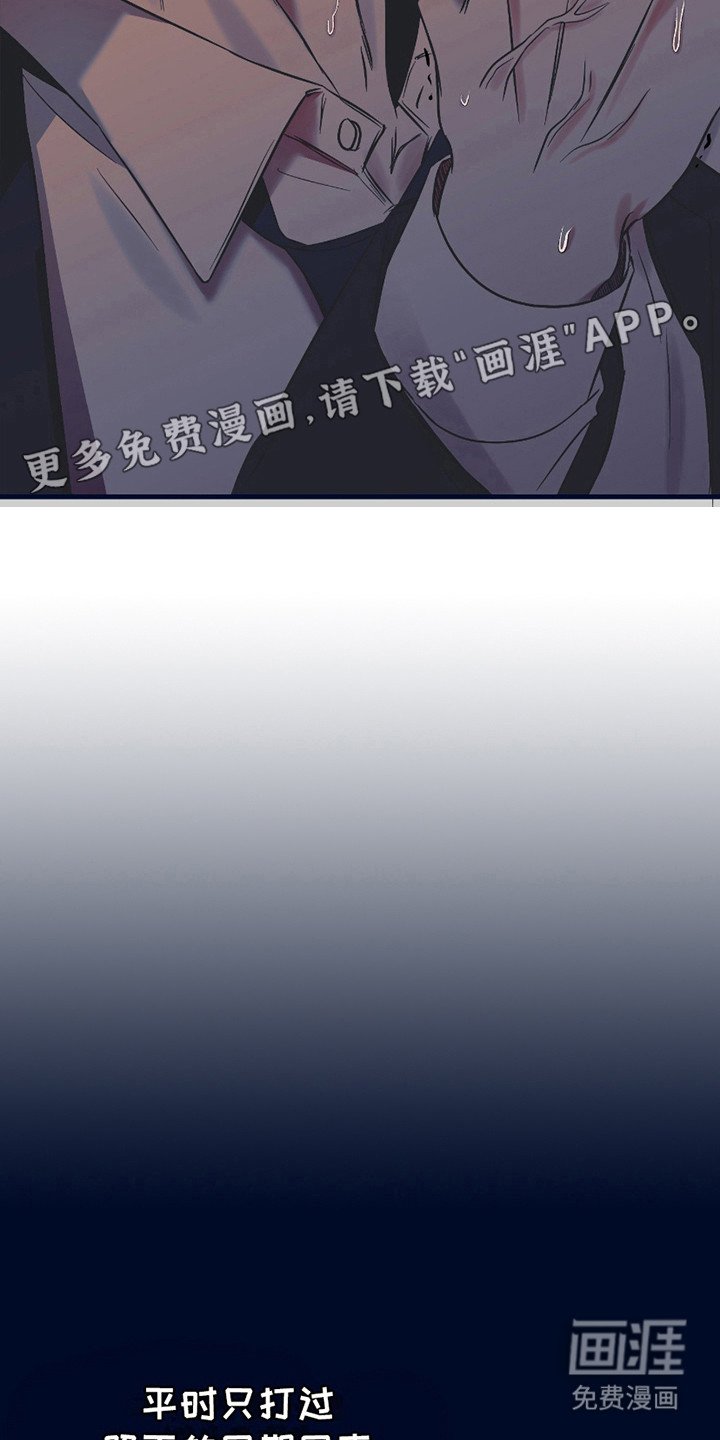 第13章：疯子