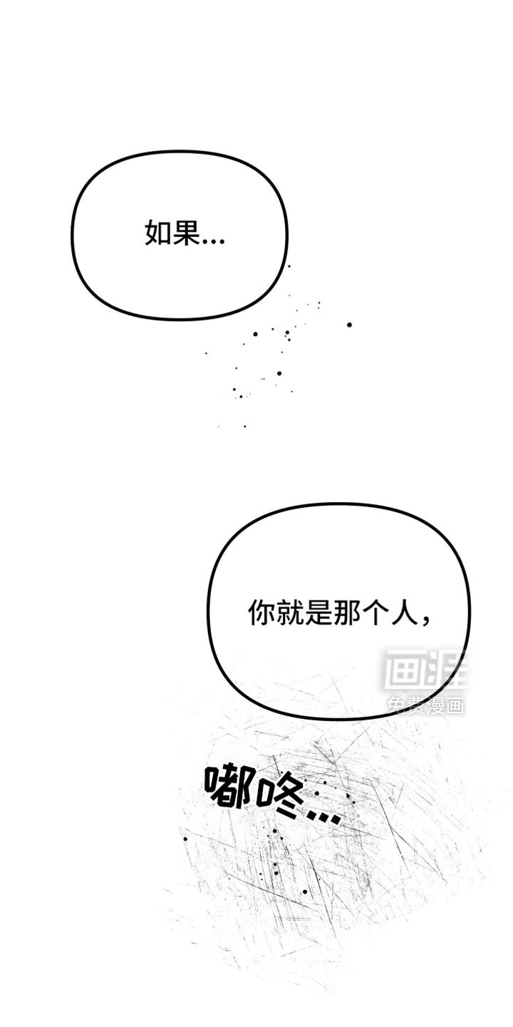 第31章：到底为什么