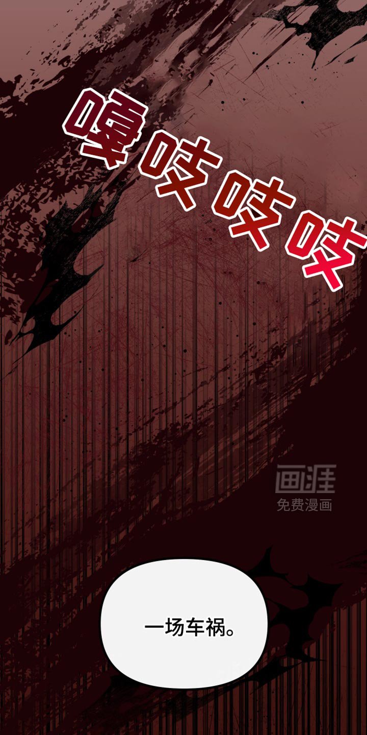 第51章：一场车祸