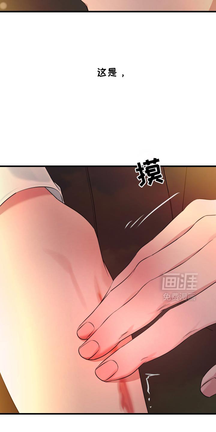第55章：幻想