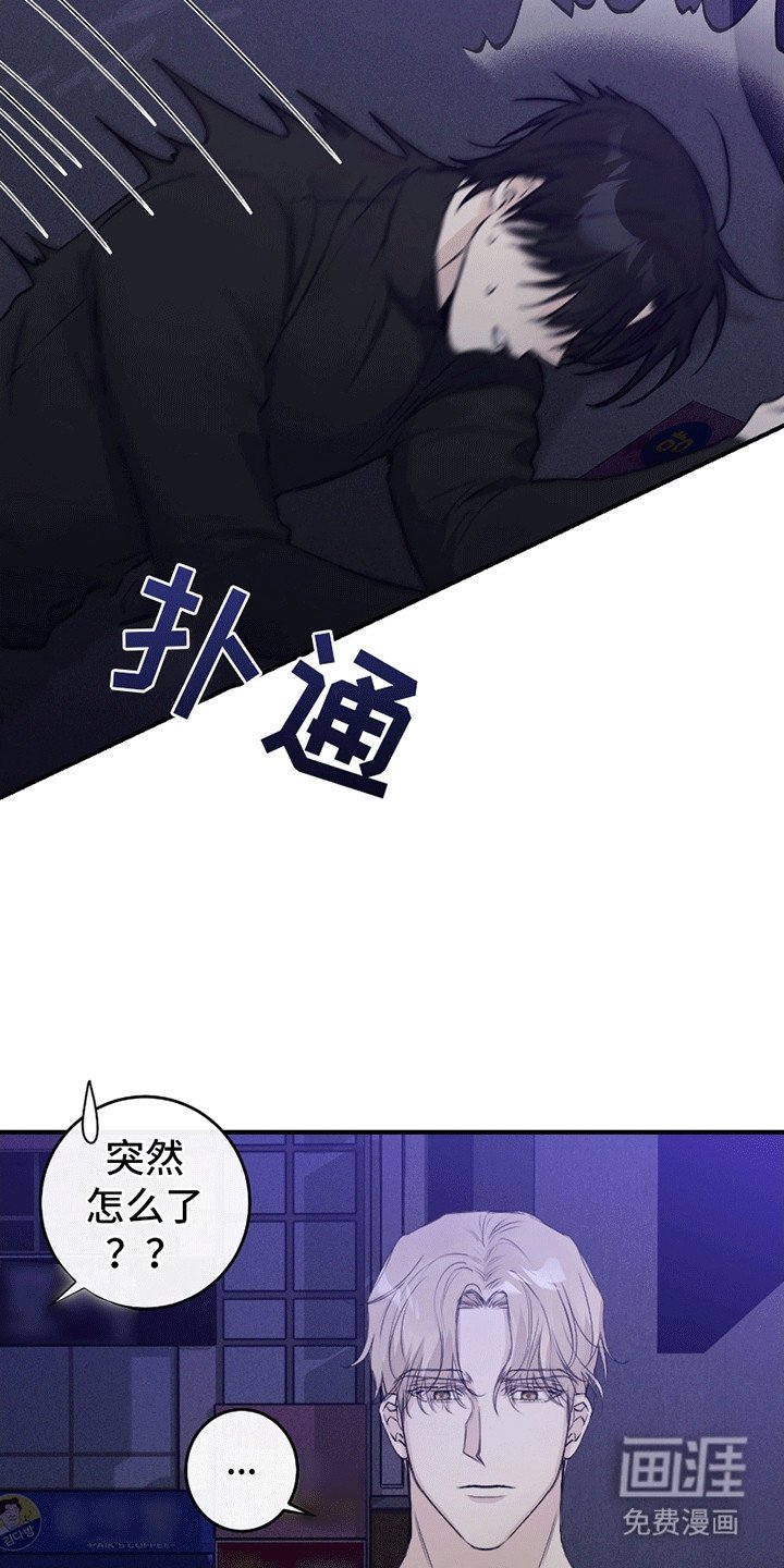 第10章：捡回家