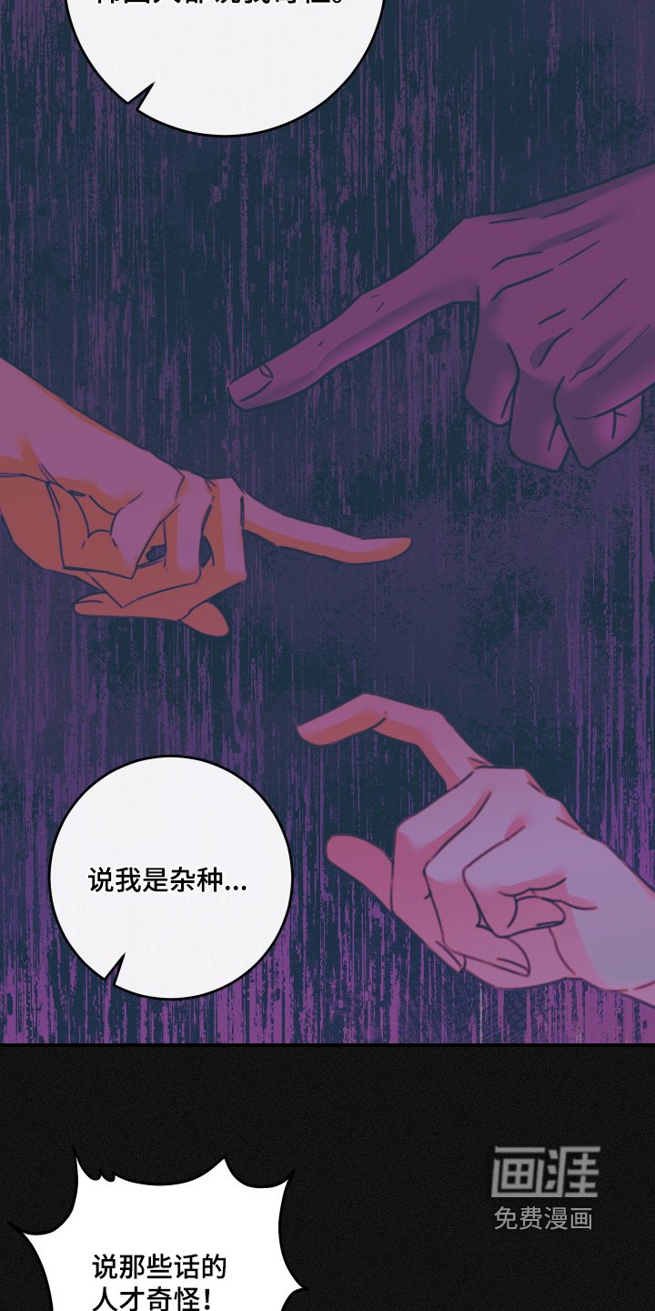 第117章：【第二季】每天一起玩