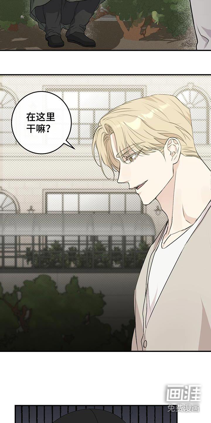 第15章：出来吧