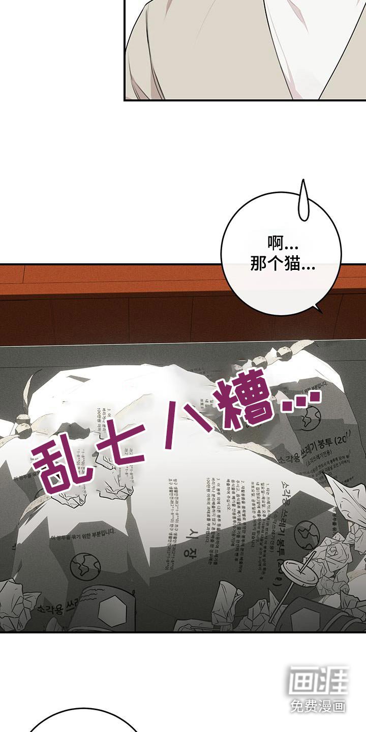 第15章：出来吧