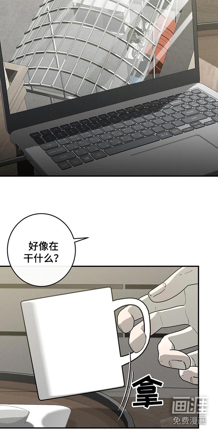 第16章：试探