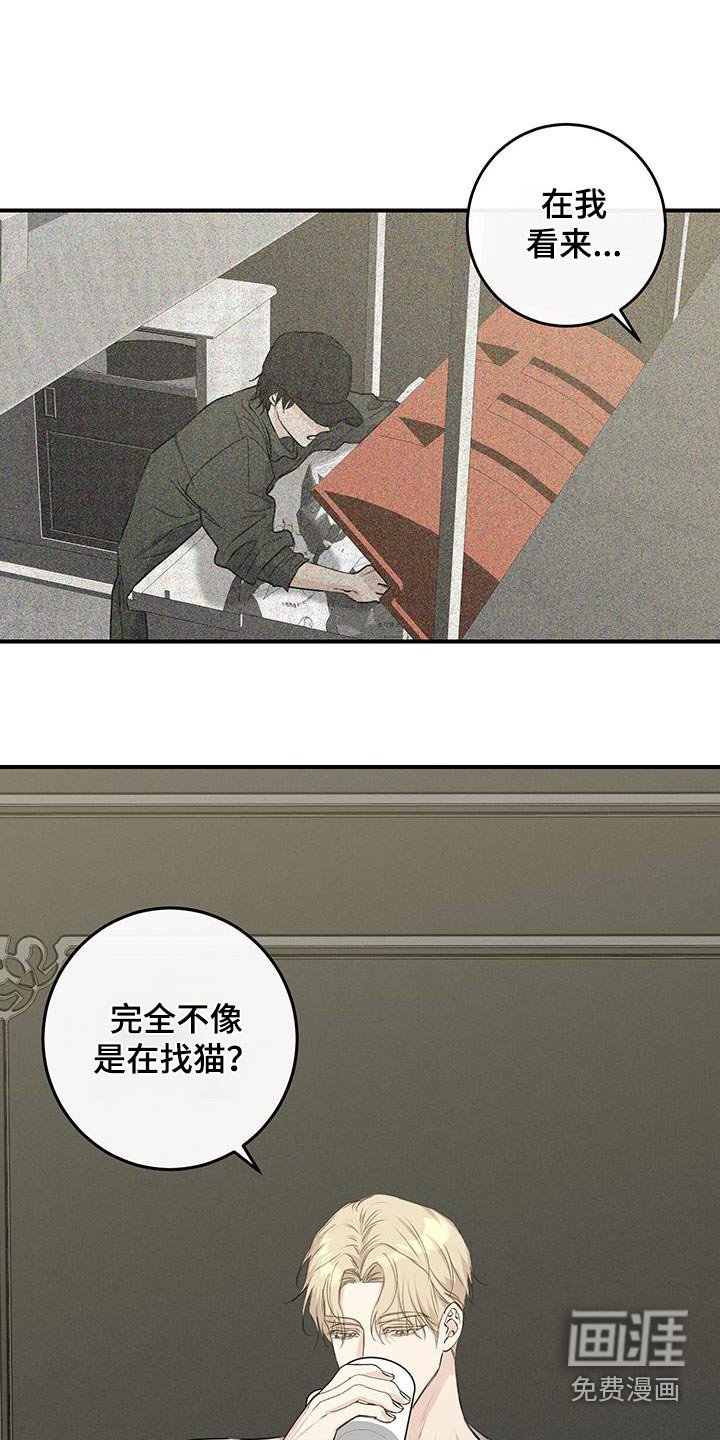 第16章：试探