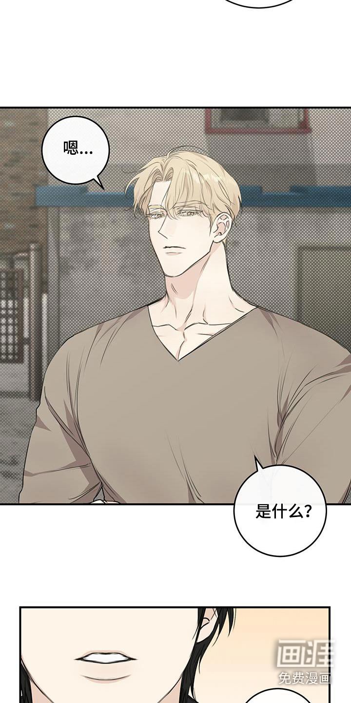 第20章：可以试一试